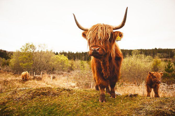 3-Day Isle of Skye and Scottish Highlands Small-Group Tour from Glasgow - The weather factor: Skye and the Highlands run on conditions