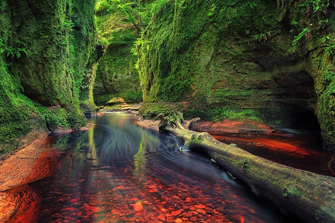 Find a hidden Glen in Scotland's woods - Key Things You Should Know Before You Go