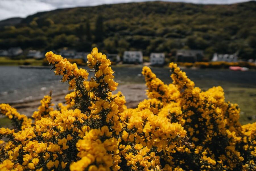 From Glasgow: A Day on the Isle of Arran with Admission - Practical Tips for a Smooth Arran Day (Luggage, Pace, and Comfort)