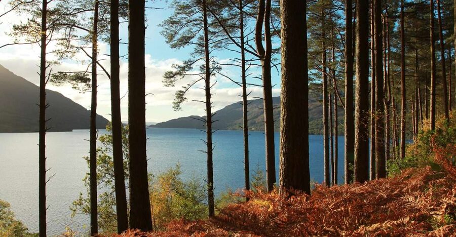 From Glasgow: Stirling Castle & Loch Lomond Tour with Cruise - Stirling Castle: the Key to Scotland you can actually see