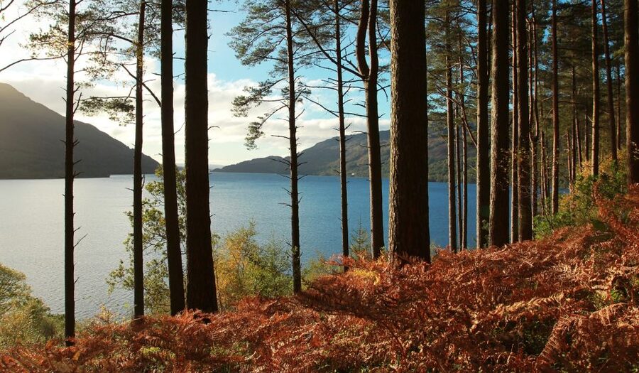 From Glasgow: Whisky and Loch Lomond Tour with Admissions - The guide and the minibus: why the story matters as much as the dram