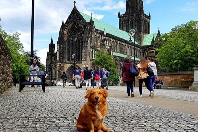 Gander Walking Tours in Glasgow - Mother Glasgow storytelling: how the city becomes one connected plot