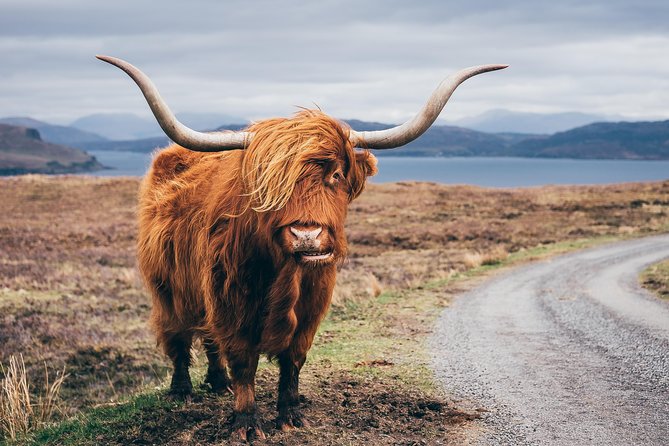 Glasgow: Isle of Skye, The Highlands and Loch Ness - 3 Day Tour - Price and value: what you’re paying for