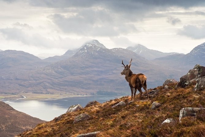 Glasgow: Isle of Skye, The Highlands and Loch Ness - 3 Day Tour - Portree stays: choosing lodging and making the most of your evenings