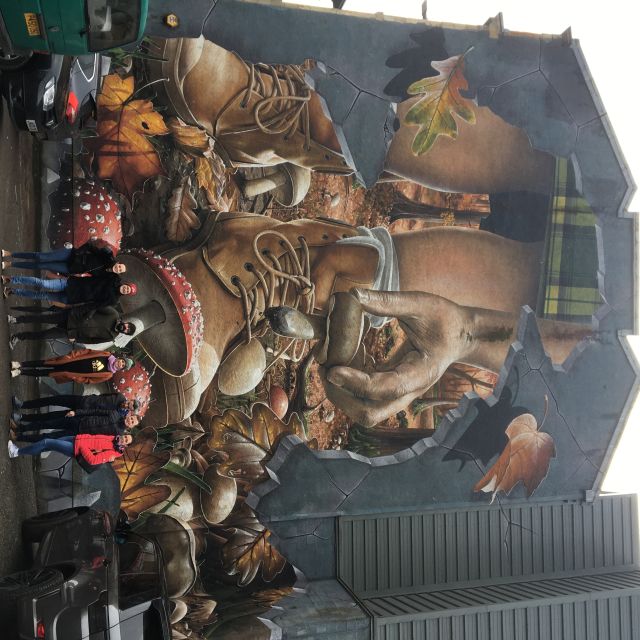 Glasgow: Street Art Guided Walking Tour - What You Learn: Graffiti vs Street Art and the Council’s Role