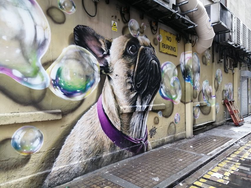 Glasgow: Street Art Guided Walking Tour - Price Check: Is $16 for a Glasgow Street Art Tour Good Value?