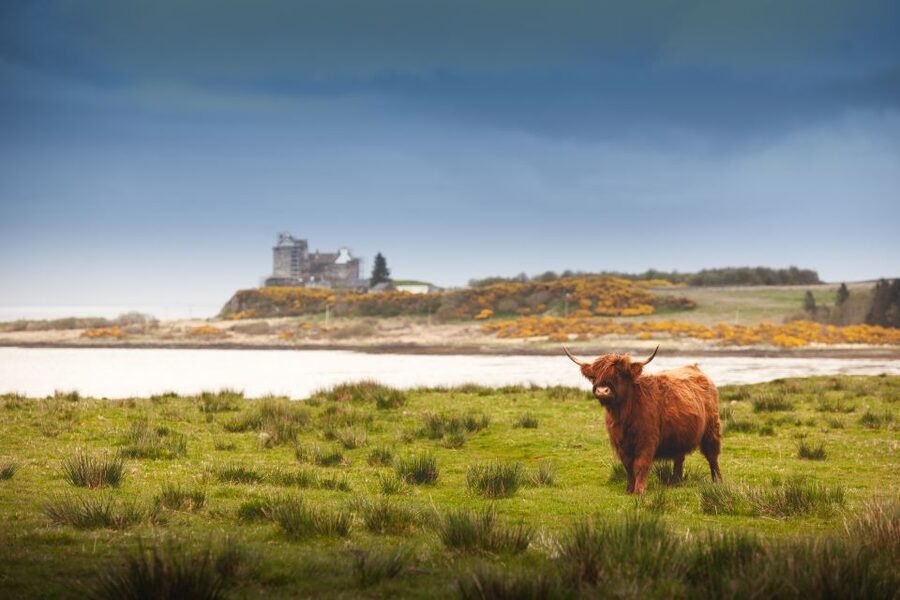 Isle of Mull and Iona 3-Day Small-Group Tour from Glasgow - Price and value: what $682 really covers (and what you’ll budget extra)