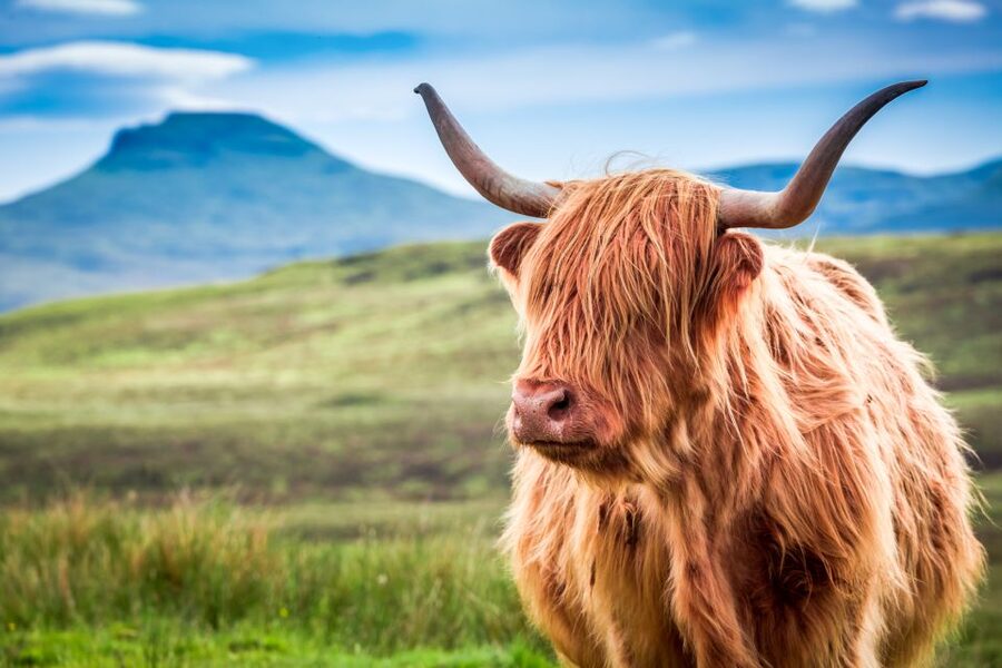 Isle of Skye & The Highlands: 3-Day Guided Tour from Glasgow - Loch Ness and Urquhart Castle: Nessie Time With Seasonal Flexibility