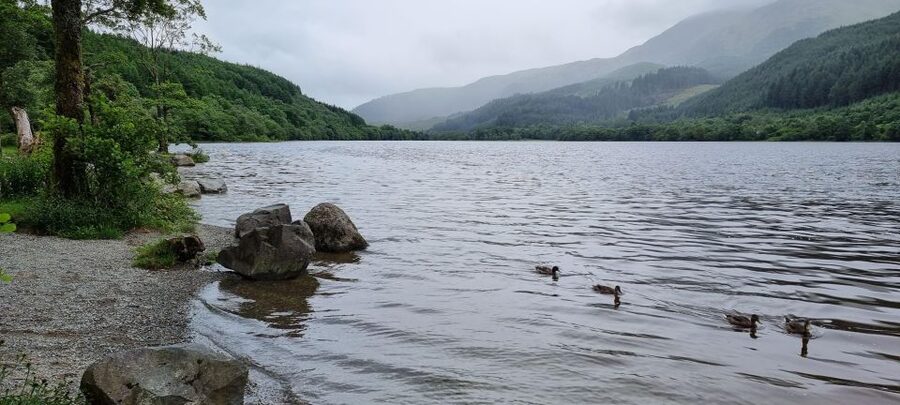 Loch Lomond and The Highlands Day Tour - Price and group size: what you’re really paying for