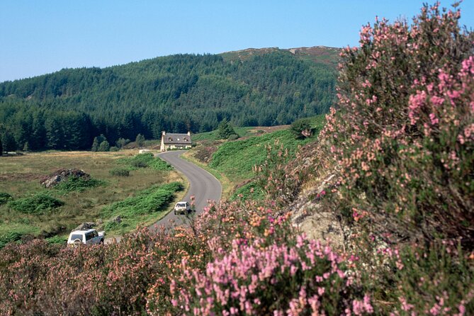Loch Lomond National Park & Stirling Castle Full Day Tour - Quick takes before you go