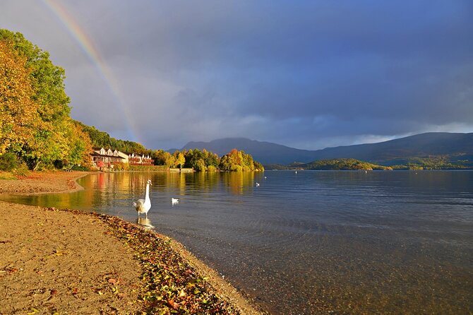 Loch Lomond National Park & Stirling Castle Full Day Tour - The big picture: Loch Lomond and Stirling in one efficient day