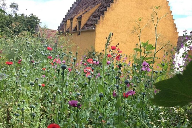 Outlander Day Tour from Glasgow - Culross finale: cobbles, mustard houses, and River Forth views