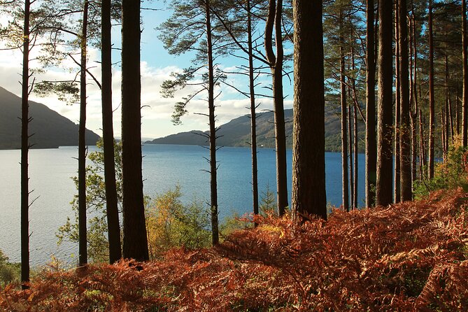 Stirling Castle, Loch Lomond and Cruise Day Tour from Glasgow - Price and value: what $98.08 gets you (and where it can feel pricey)