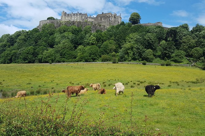 Stirling Castle, Trossachs and Loch Lomond Shore Excursion - Who This Tour Fits Best (and Who Might Want a Different Plan)